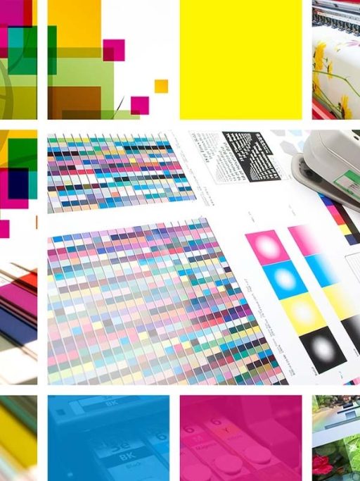 Eco - Solvent - UV - Latex